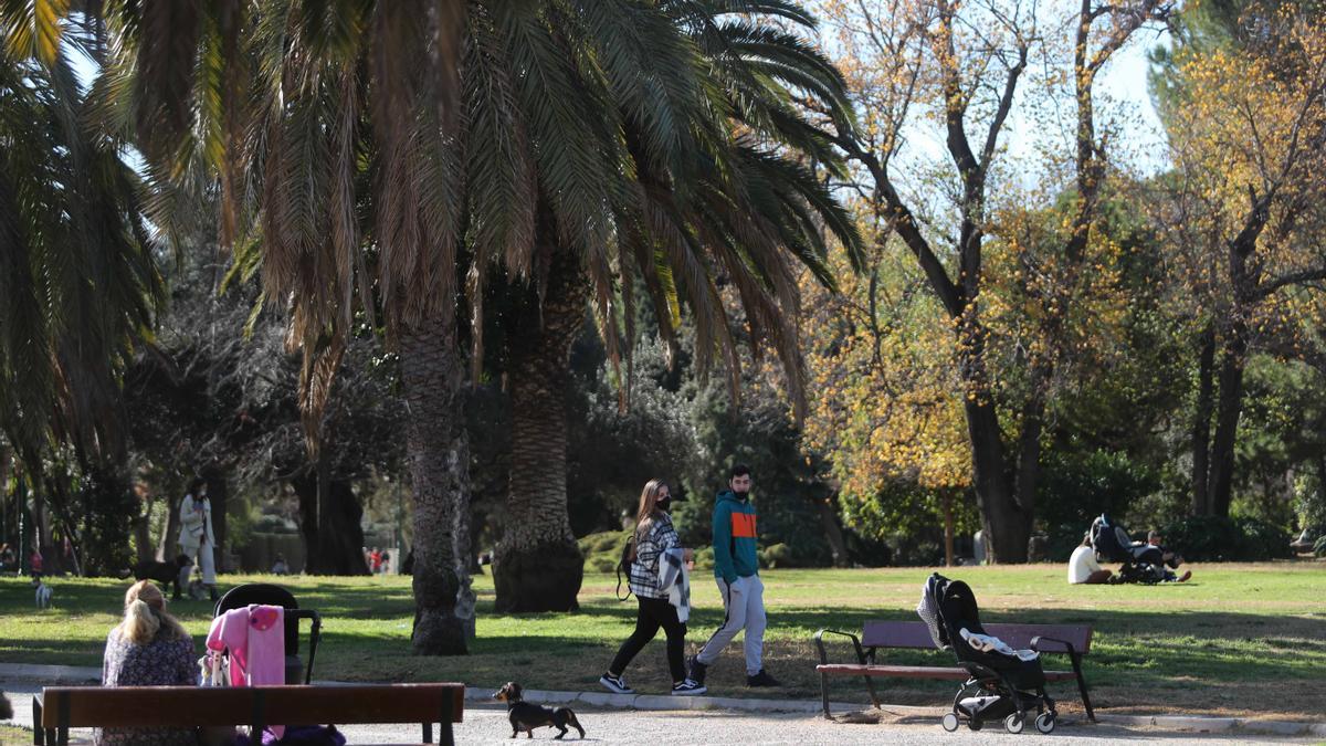 València dispone de diferentes ‘pulmones verdes’ dentro de la ciudad.