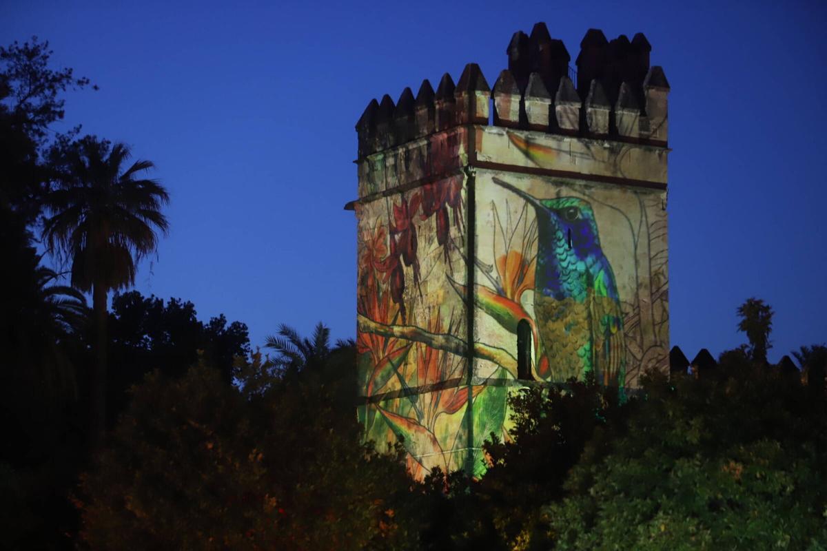 Las autoridades inauguran el espectáculo del Alcázar