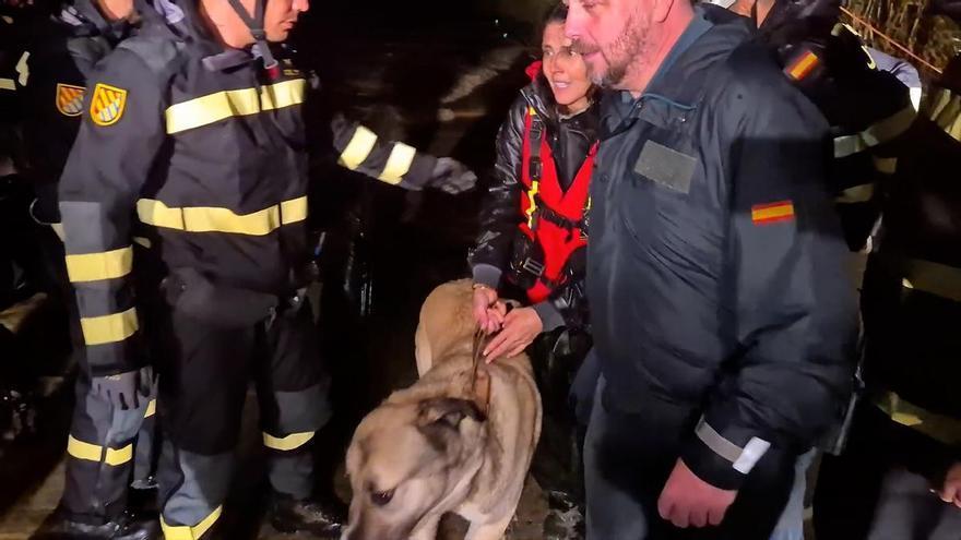 Borrasca Leonardo: La Guardia Civil y la UME rescata y evacúa a personas y animales durante la noche