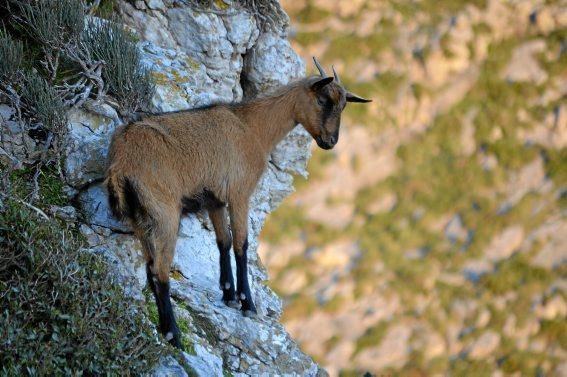 Mallorca zwischen stiller und feuriger Leidenschaft