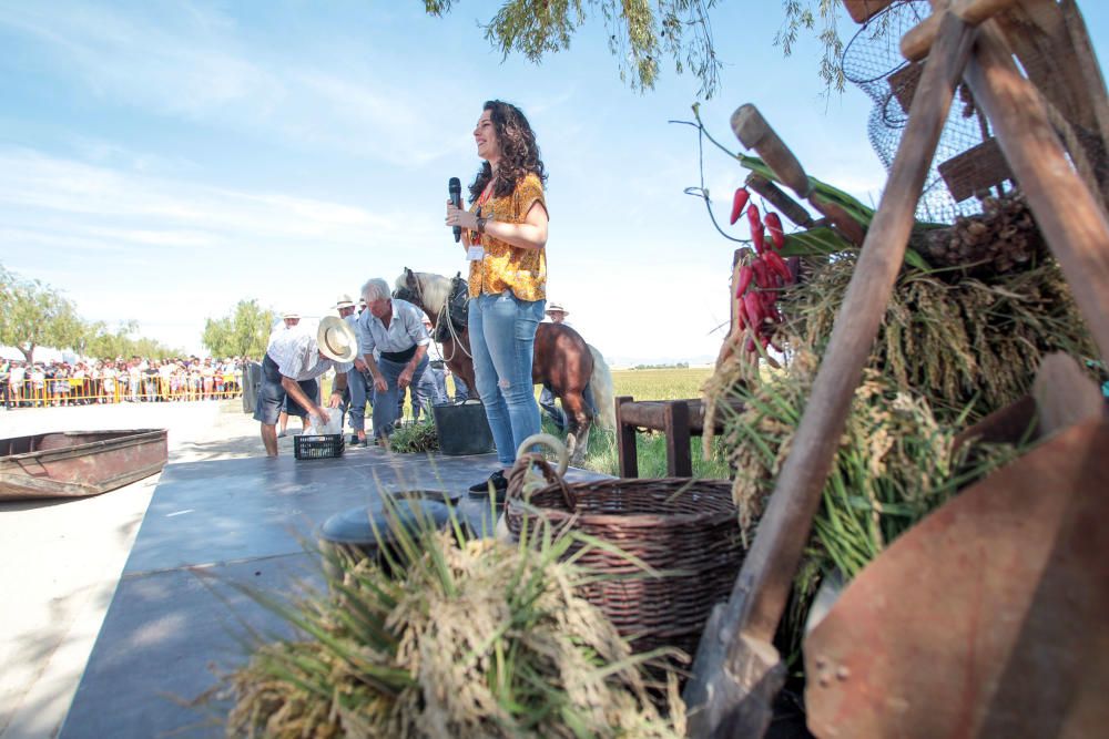 Fiesta de la Siega del Arroz