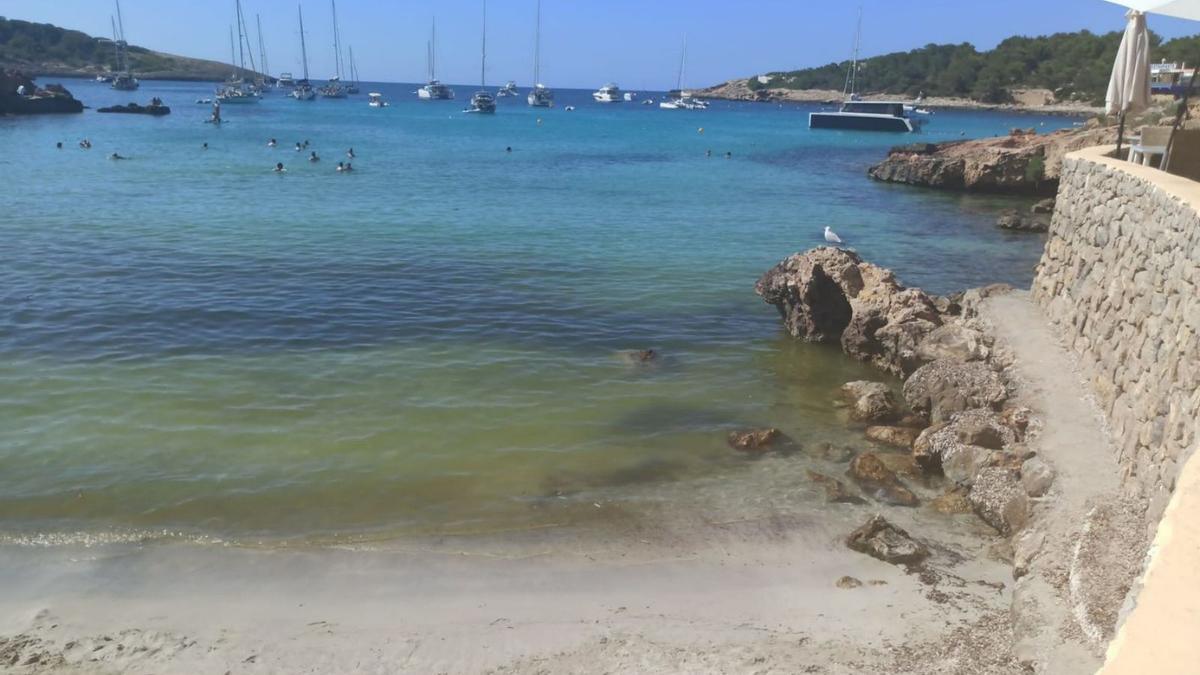 Aparecen microalgas en las playas de Portinatx.