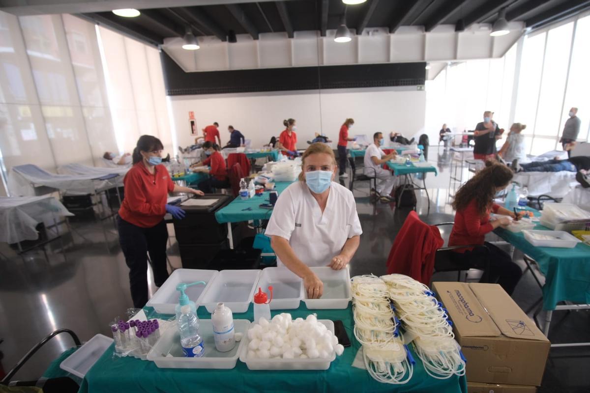 Personal sanitario prepara las instalaciones para realizar las transfusiones de sangre en Elche