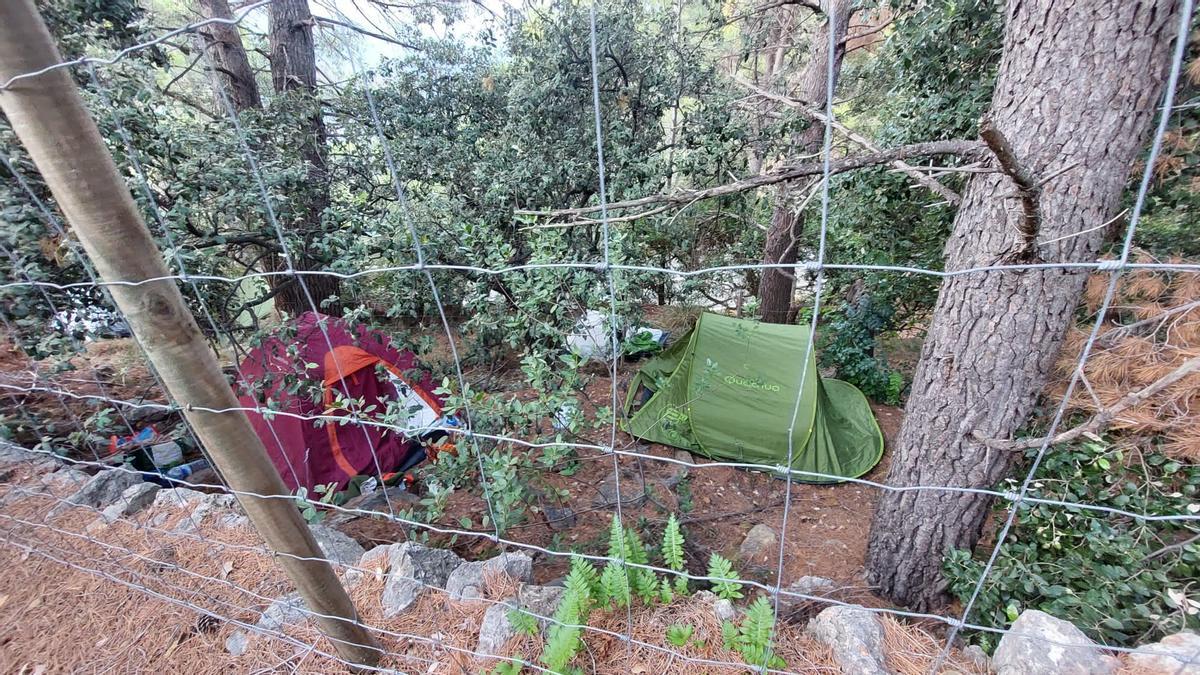 Imágenes | Así acampan  en la Serra de Tramuntana debido a la Pujada al Puig Major
