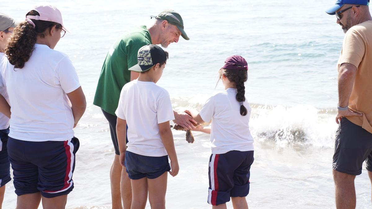 Escolares suelta a un ejemplar de tortuga en la playa de Maspalomas, este jueves.