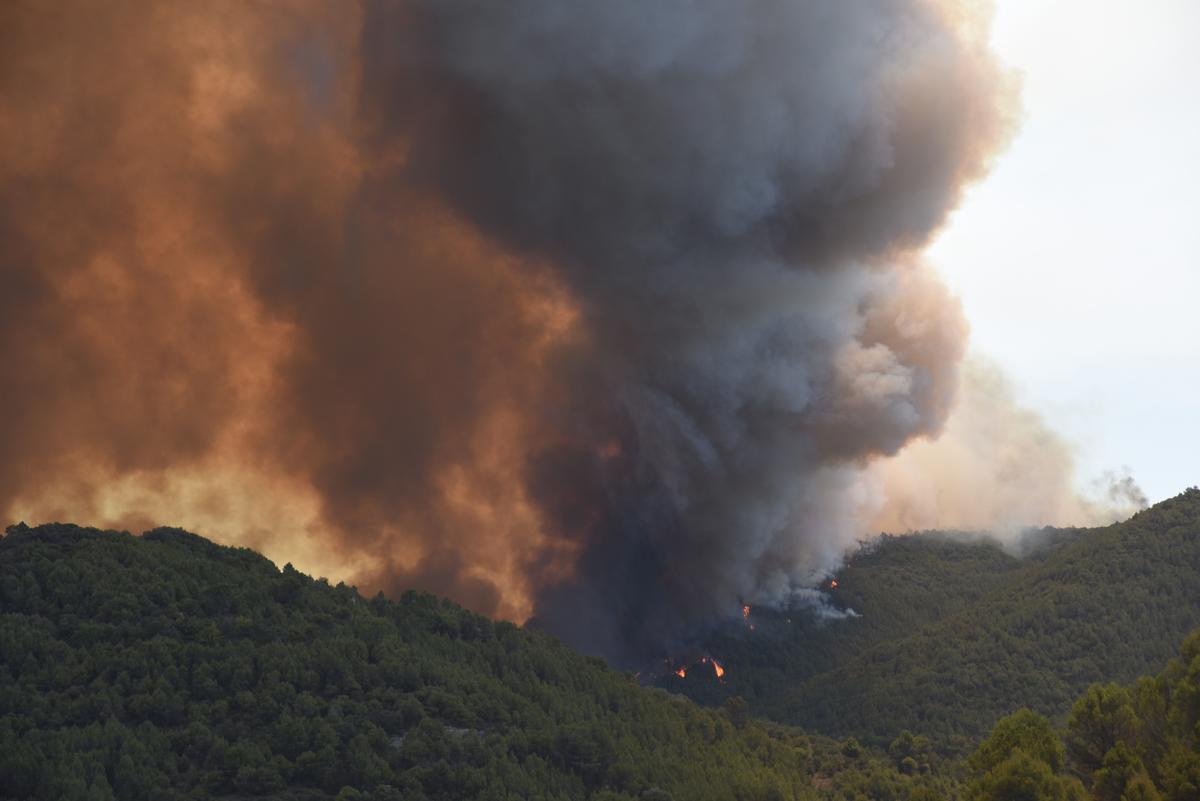 PONT DE VILOMARA .Incendio cerca de la urbanización River Park.