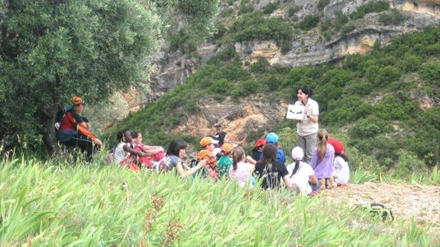 Aprender en la naturaleza con Fundación Ibercaja