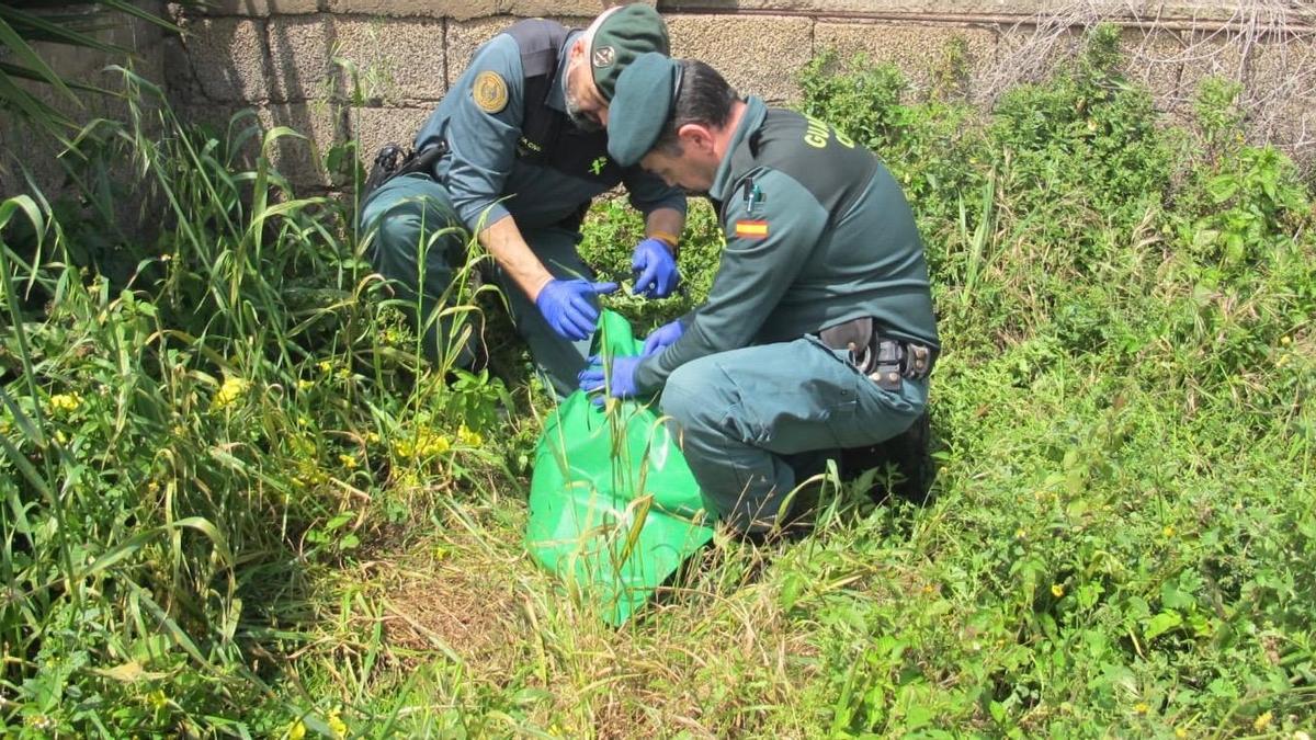 La Guardia Civil trabaja en la muerte de Boli