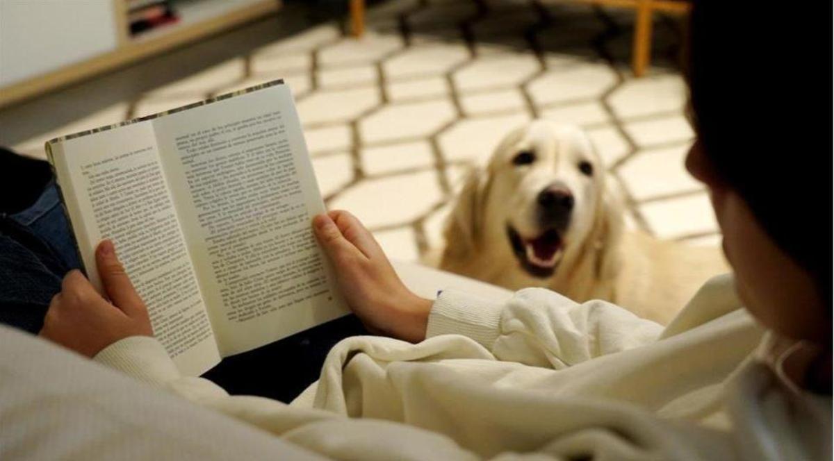 Libros para fomentar la lectura en los niños - La Opinión de A Coruña