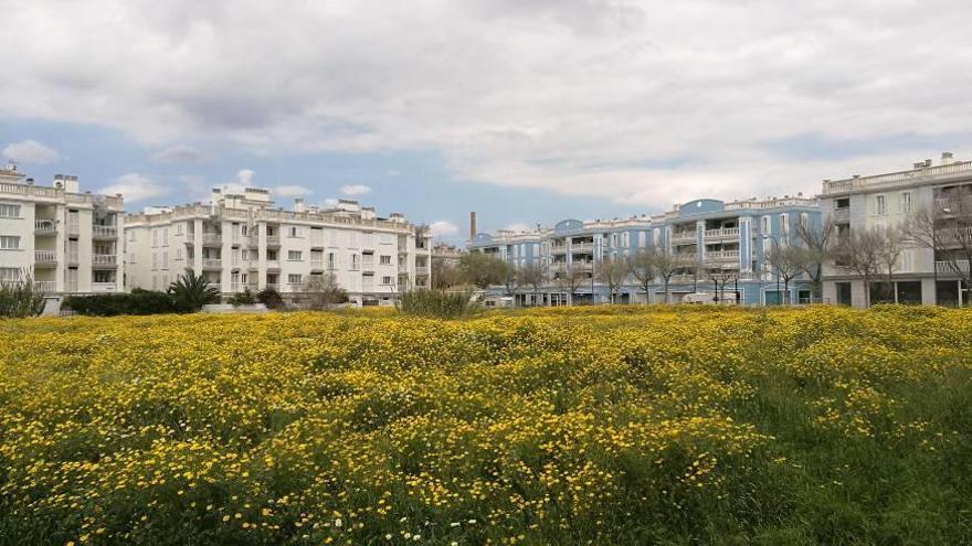 Solar cedido por el Ayuntamiento donde se construirá la residencia.