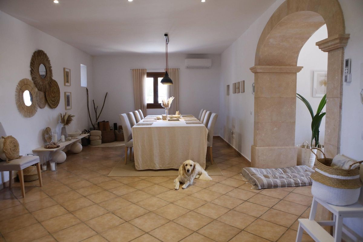 Gehört mit zur Finca-Familie: Hund Madoxx.