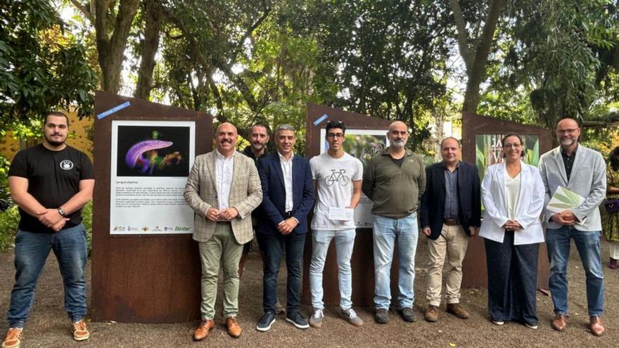 La ‘Lengua viperina’ conquista el concurso de fotografía del Botánico