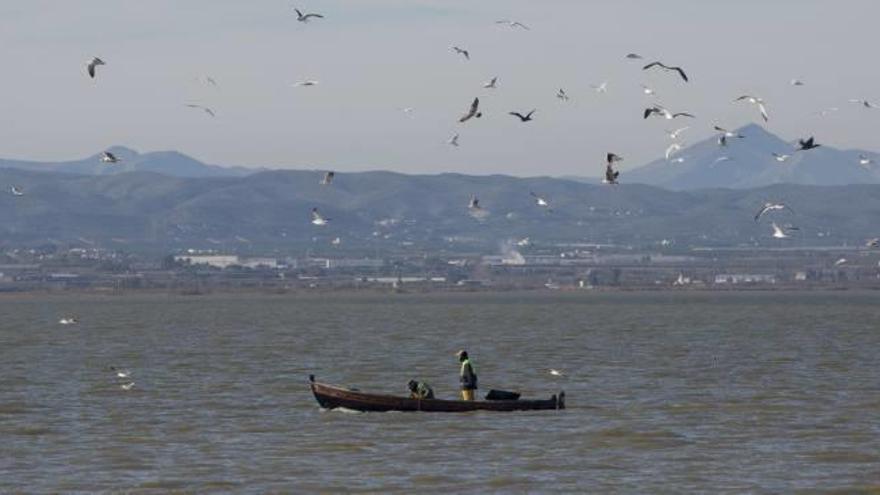 Medio Ambiente obliga a pedir autorización a la Junta de Desagüe para bombear agua de l&#039;Albufera