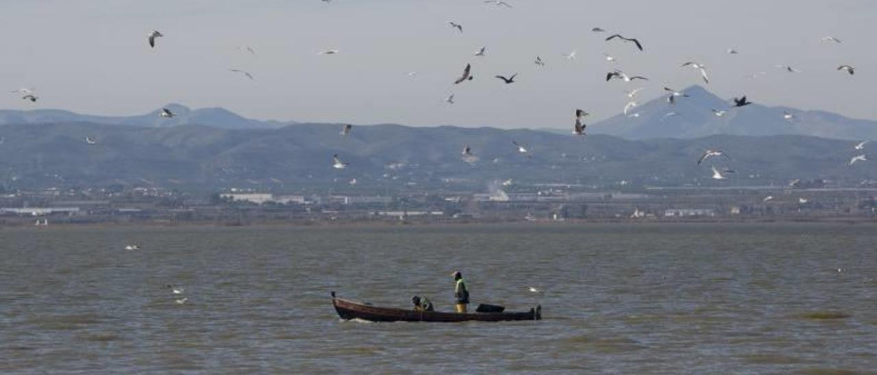 Medio Ambiente obliga a pedir autorización a la Junta de Desagüe para bombear agua de l&#039;Albufera