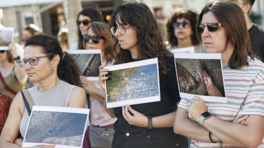 Decenas de personas se manifiestan en Llucmajor: «Exigimos el cierre inmediato de Avícola Ballester, las condiciones de la granja son vergonzosas»