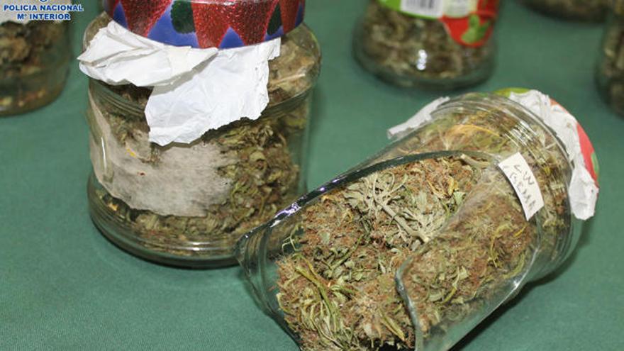 Muestras de la marihuana encautada en Campanillas.