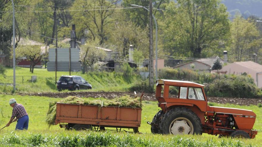 La campaña de ensilado se retrasa porque el frío de enero demoró el crecimiento del forraje