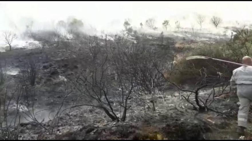 La desoladora estampa tras las llamas