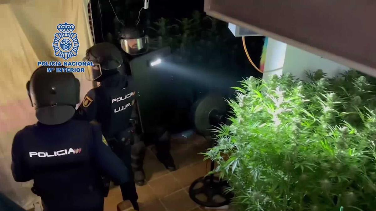 La intervenció de la Policia Nacional a la casa amb el cultiu de marihuana de Riells i Viabrea.