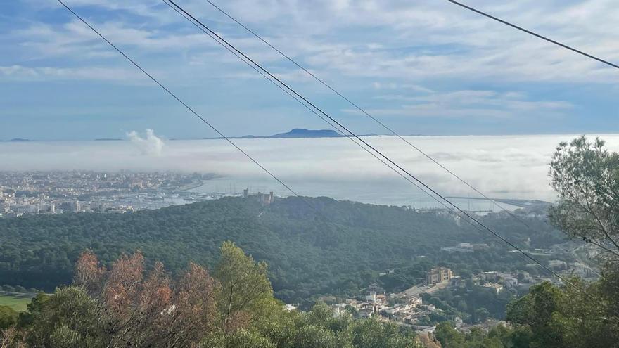 Un banco de niebla entrando en Palma este domingo