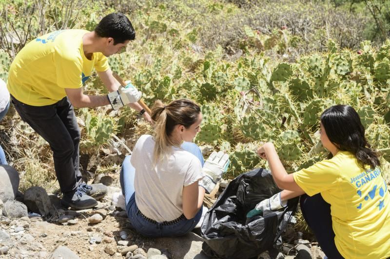 Pablo Rodríguez y María Fernández participan el domingo en el reto #TrashtagChallenge. A través de esta iniciativa viral que busca eliminar la basura del medio ambiente, se limpiarán las laderas de Capellanías, Lugarejo, Albiturria y Lomo La Cruz.  | 14/04/2019 | Fotógrafo: Tony Hernández