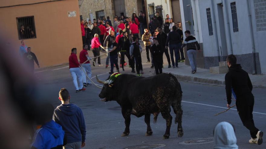 Los toros fueron los protagonistas en Onda.