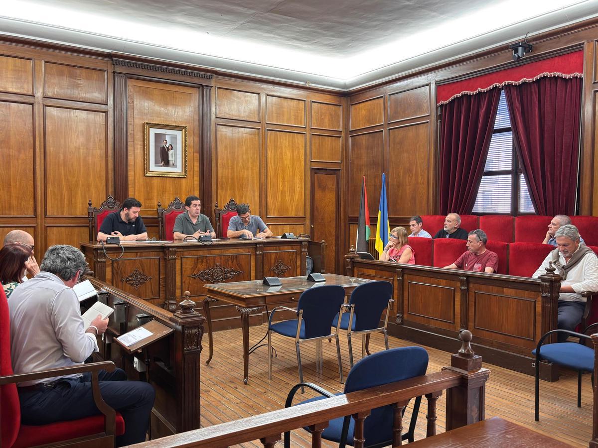 Un momento de la reunión del Consejo Económico y Social