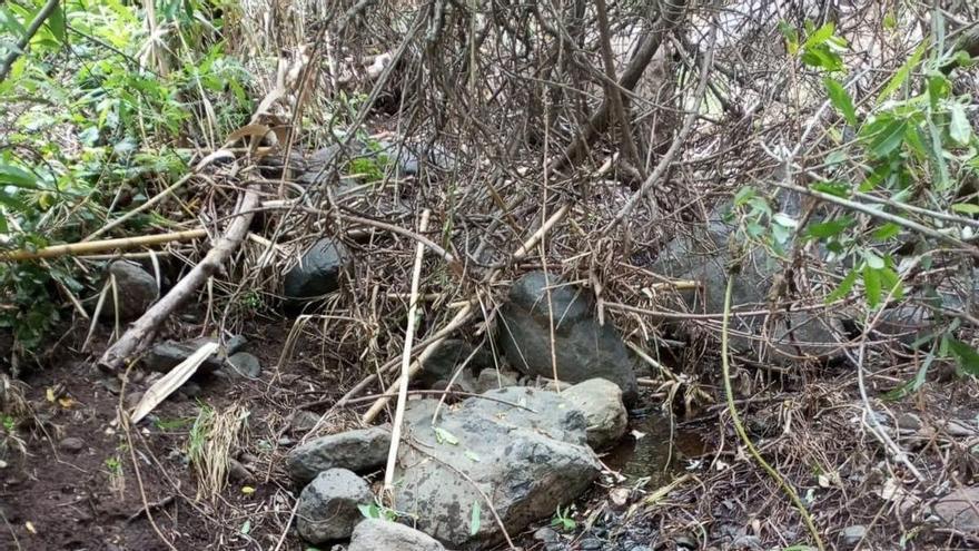 Nace una plataforma para recuperar el cauce del Barranco de Los Cernícalos en Telde y Valsequillo