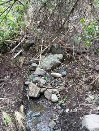 Nace una plataforma para recuperar el cauce del Barranco de Los Cernícalos en Telde y Valsequillo