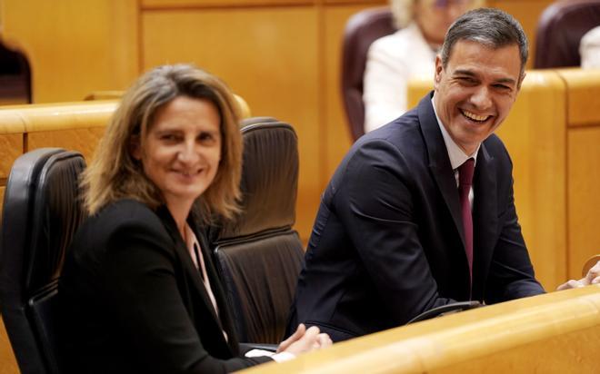 El cara a cara entre Sánchez y Feijóo en el Senado, en imágenes