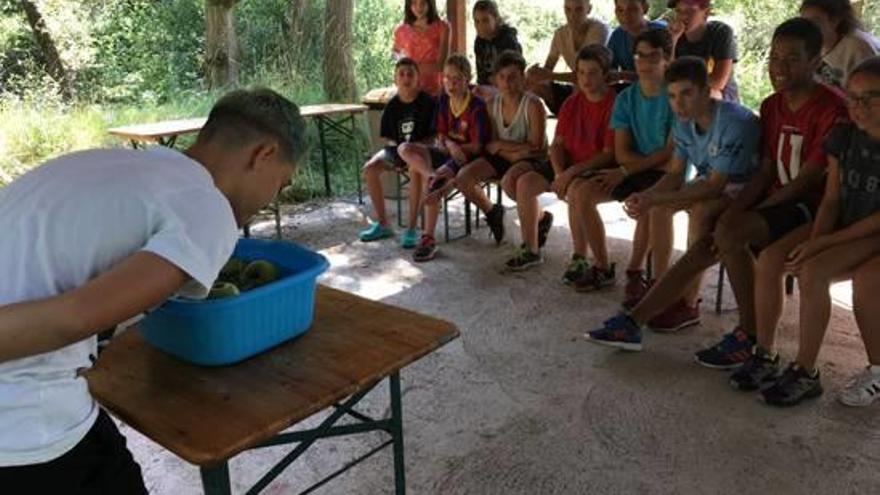 Els campaments Off-line de la Cerdanya  volen repetir