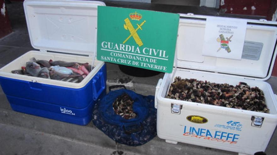 Cuatro personas denunciadas por pesca ilegal y marisqueo en época de veda