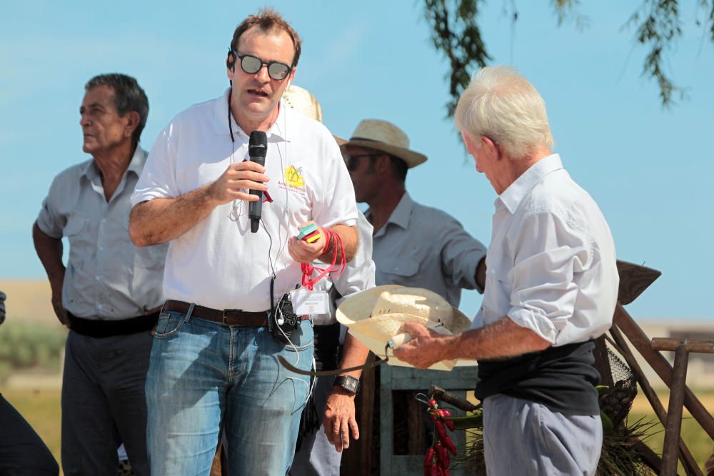 Fiesta de la Siega del Arroz