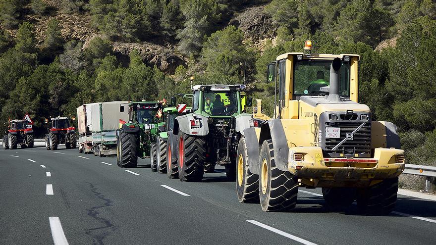 ¿Tienen razón los agricultores? / Lechugas podridas