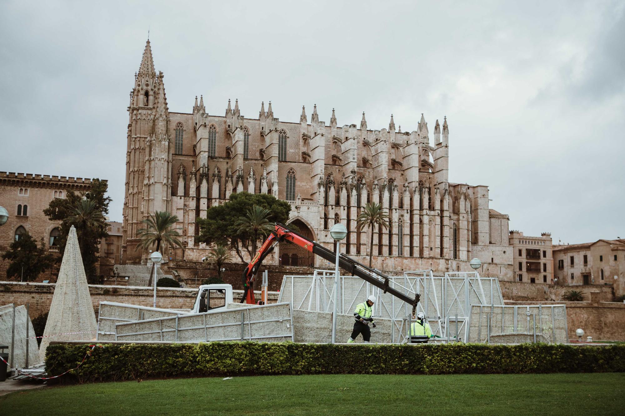 Cort empieza a montar el árbol iluminado del Parc de la Mar