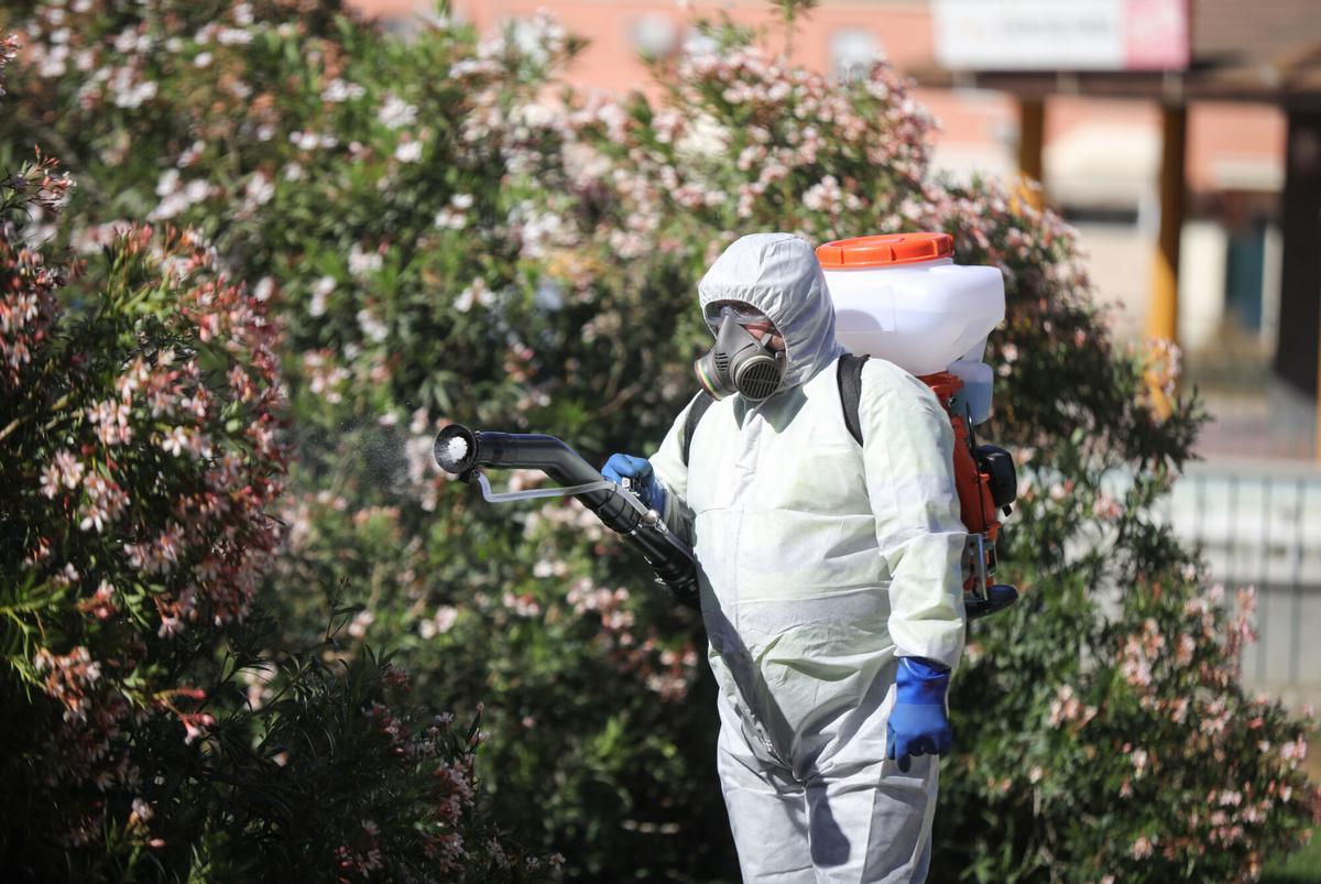 11/05/2021 Un operario inician las labores de fumigación y el tratamiento de imbornales contra el mosquito para prevenir el Virus del Nilo a 11 de mayo del 2021. En el Parque Municipal Adolfo Cantalejo Suárez de Coria del Río (Sevilla). Andalucía SALUD María José López - Europa Press