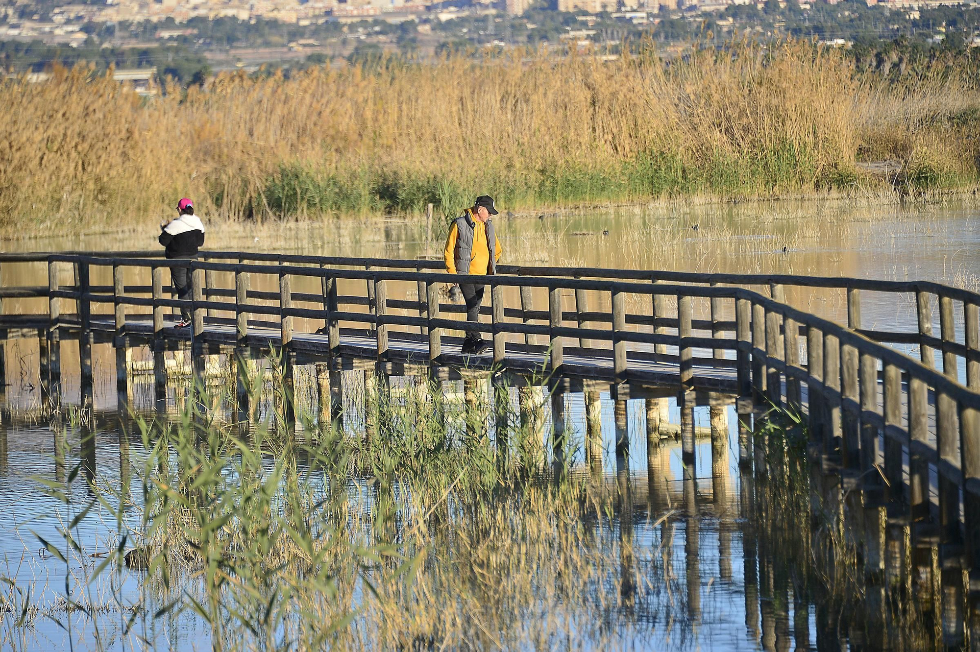 RECOGIDA DE RESIDUOS Y RUTA ORNITOLÓGICA EN EL HONDO