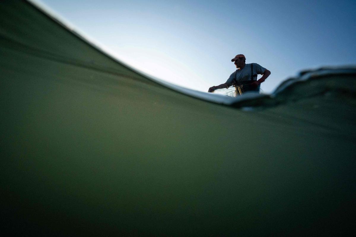 Jeremy Fuchs, el único pescador profesional del río Rin