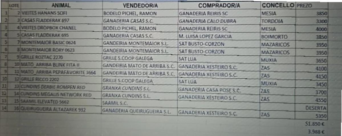 Resumen de la subasta de Ordes