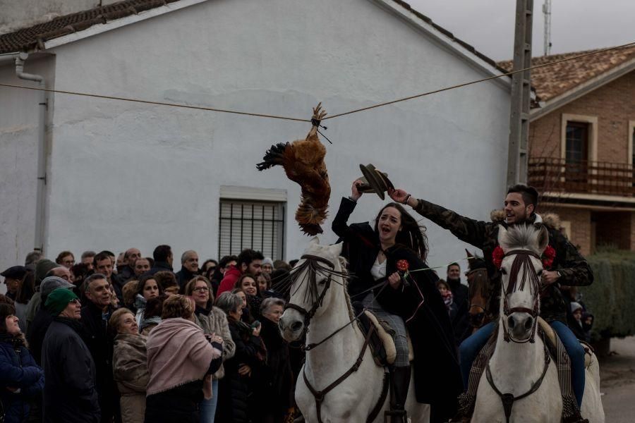 Carrera del Gallo en El Pego