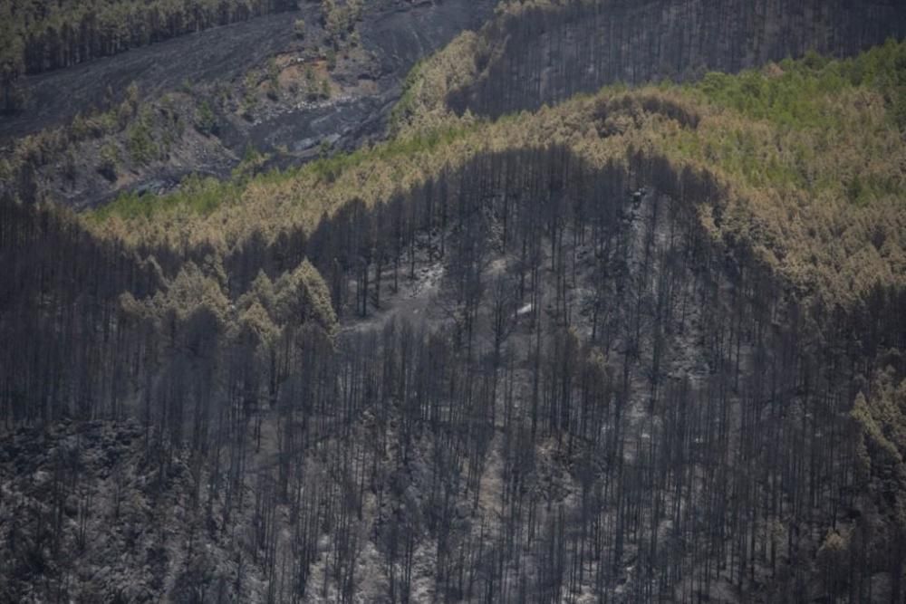 Incendio forestal en la zona de Montaña de Jedey, en La Palma