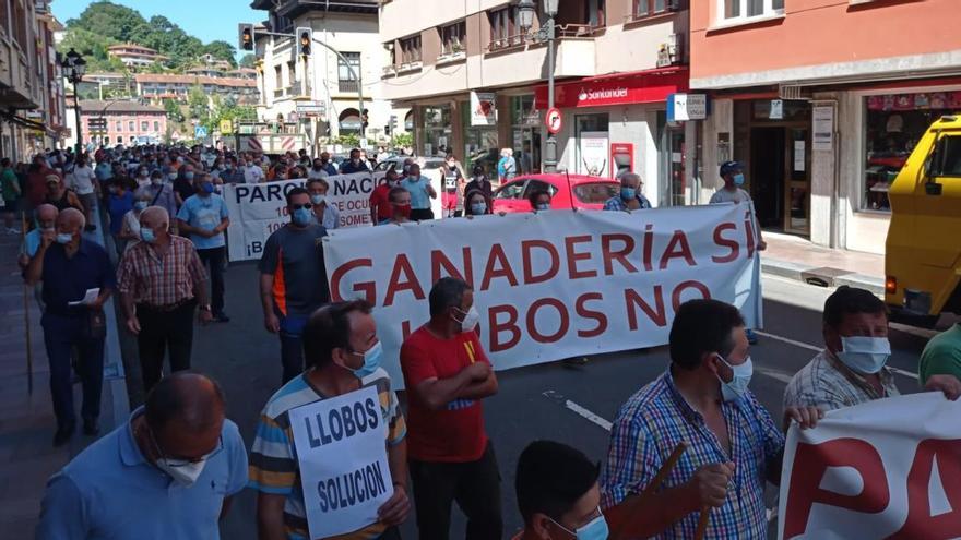 Manifestantes en Cangas de Onís.