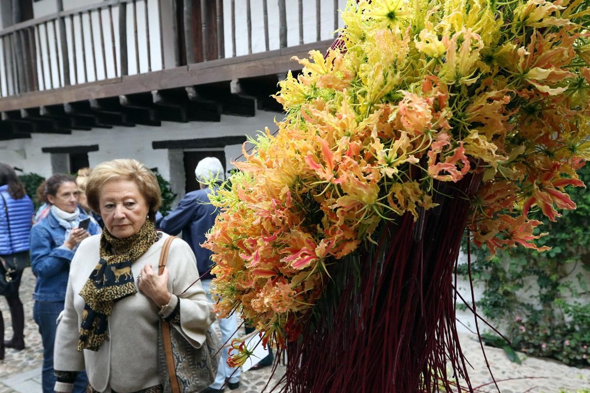 Festival de Flora