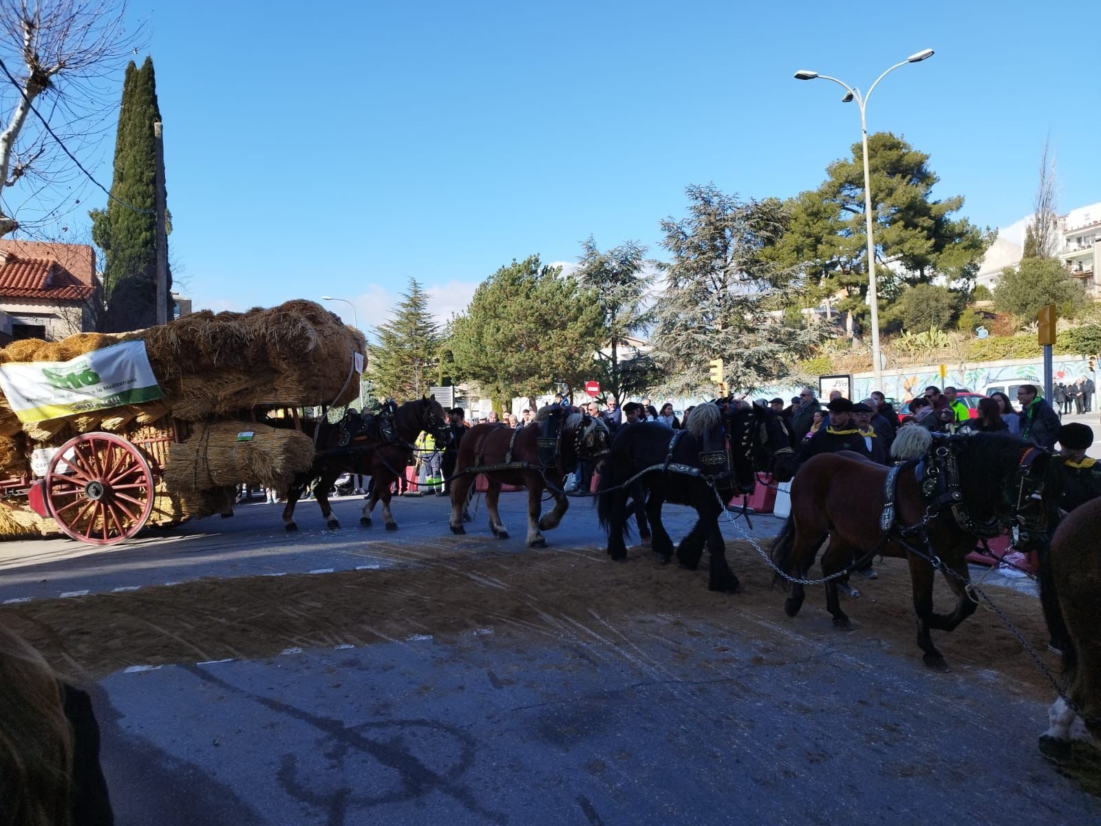 Els Tres Tombs d'Igualada porten una cinquantena de carruatges