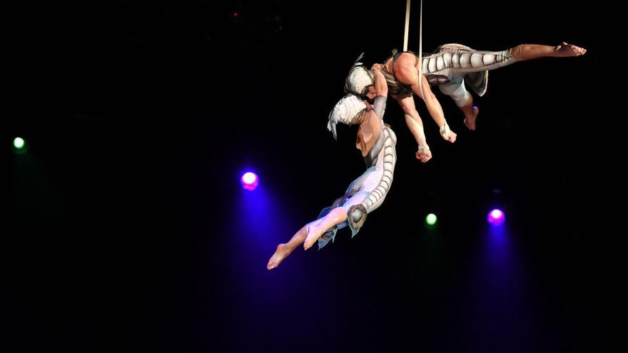 Los insectos del Circo del Sol aterrizan en Gran Canaria en su 25º aniversario