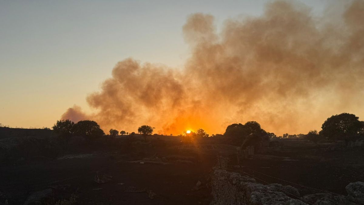 Fotogalería | Cortan la A-5 y desalojan a 18 personas de una gasolinera y tres fincas por el incendio de Trujillo.