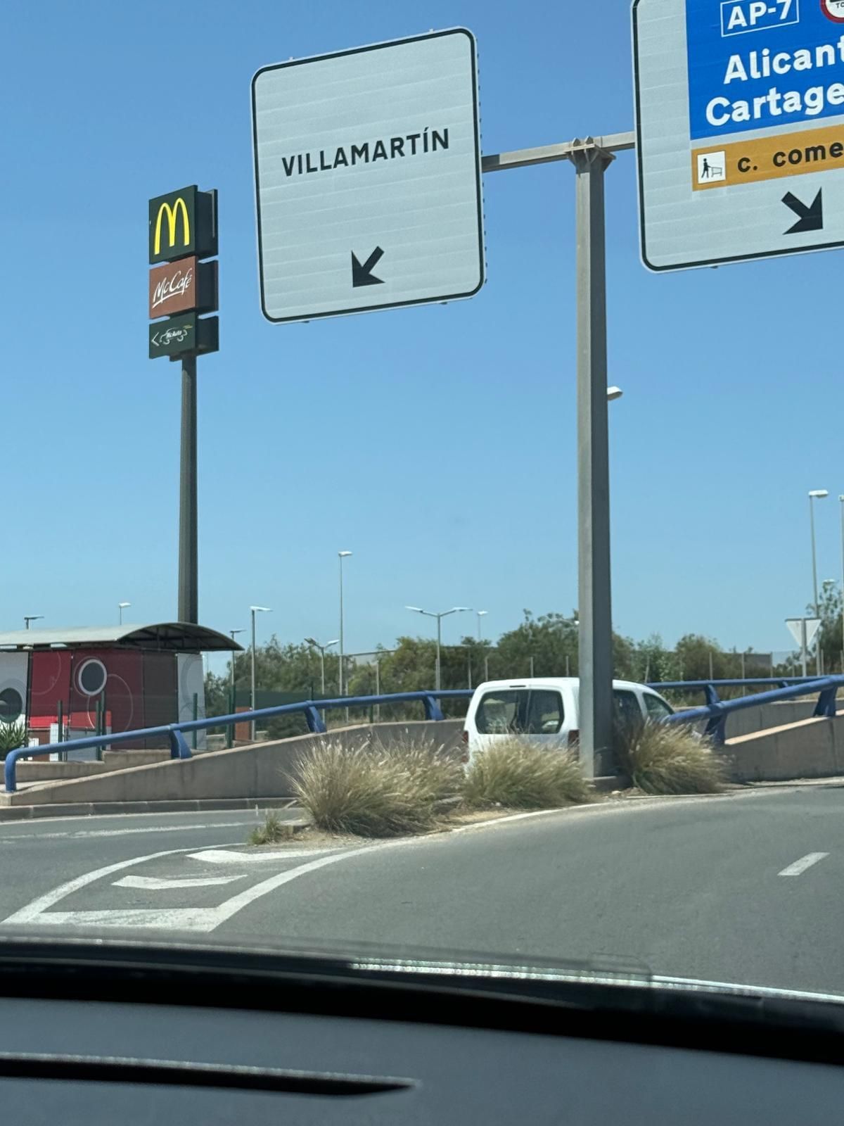 Una jungla sobre el asfalto de Orihuela Costa
