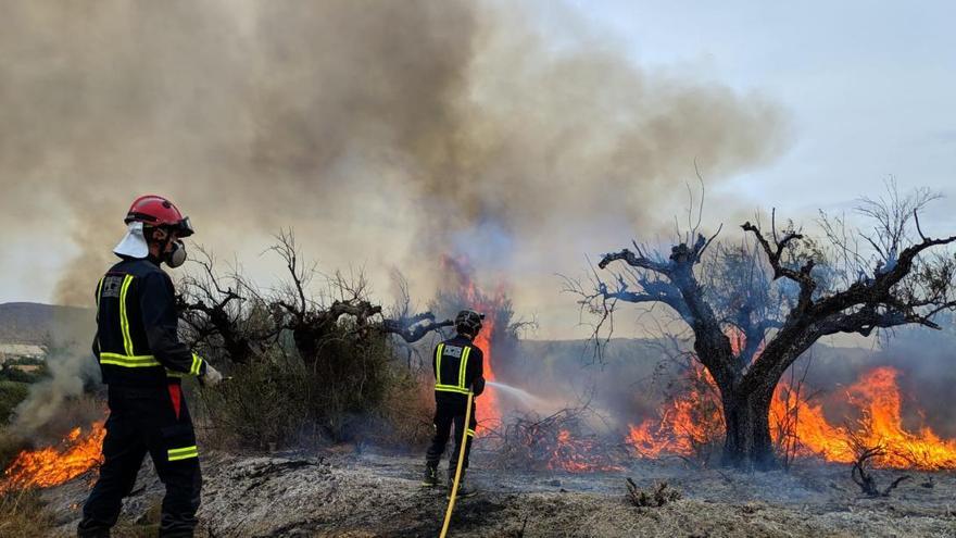 Vuelven a incendiar el paraje de &#039;El Torvedal&#039; en Cieza dos semanas después