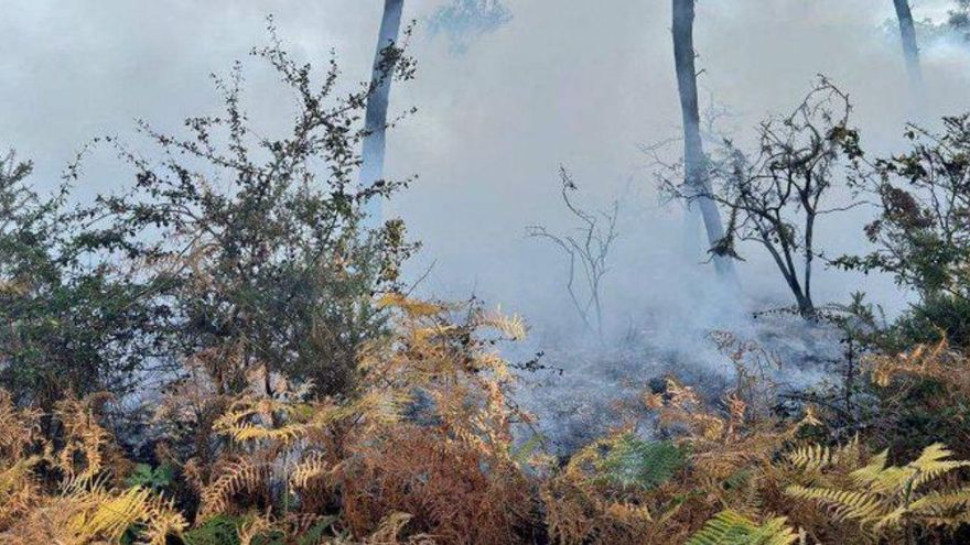 Zona afectada por las llamas del incendio de Vilariño. |  FdV