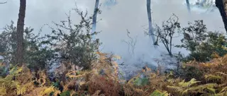 Sofocan un incendio forestal en Cambados